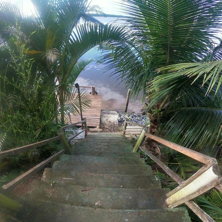  Villa dos Golfinhos