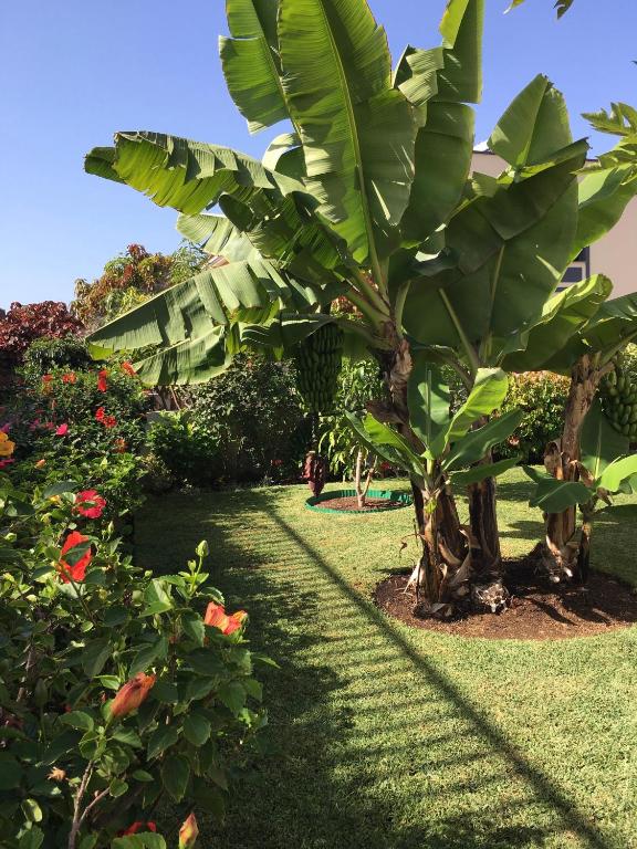 Fotografia z galérie ubytovania La Quinta Garden v destinácii Santa Úrsula