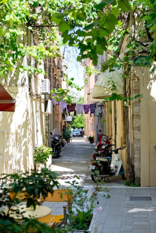 A garden outside Studio attic in Corfu Town centre