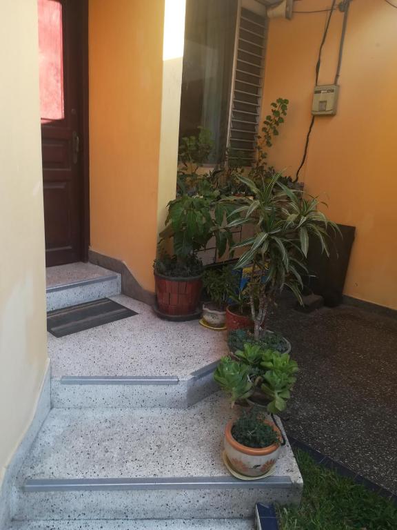 Zahrada ubytování Mini Departamento Tambo Huascar 2