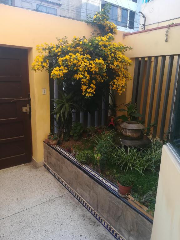 Zahrada ubytování Mini Departamento Tambo Huascar 2