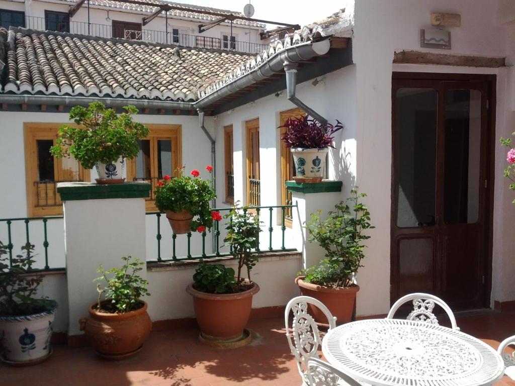 a patio with a table and chairs and potted plants at Pensión San Joaquín in Granada