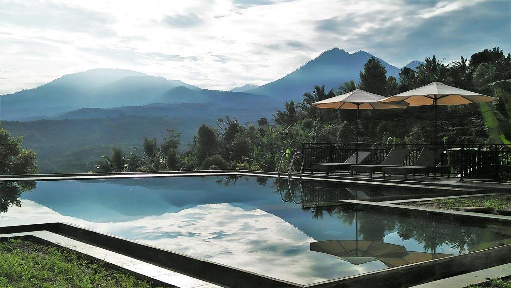 einen Pool mit Stühlen, einem Sonnenschirm und Bergen in der Unterkunft Atres Sari Resort in Munduk