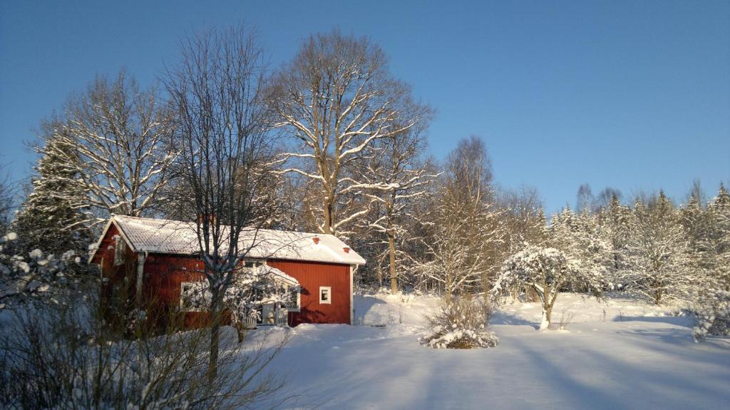 Kylås Vildmark v zimě