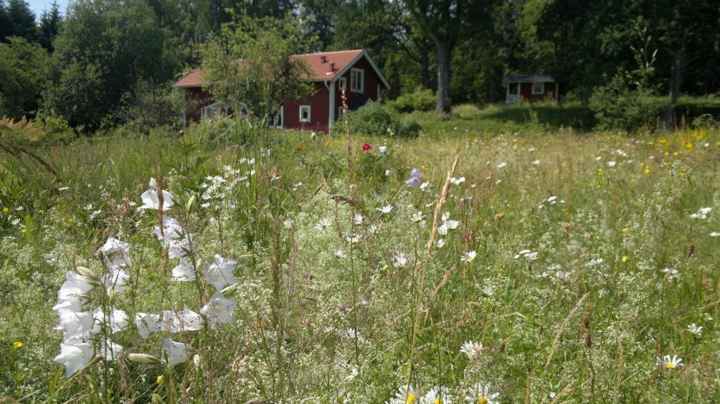 Zahrada ubytování Kylås Vildmark