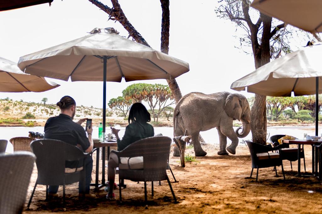 Elephant Bedroom Camp - Samburu – Photos 1