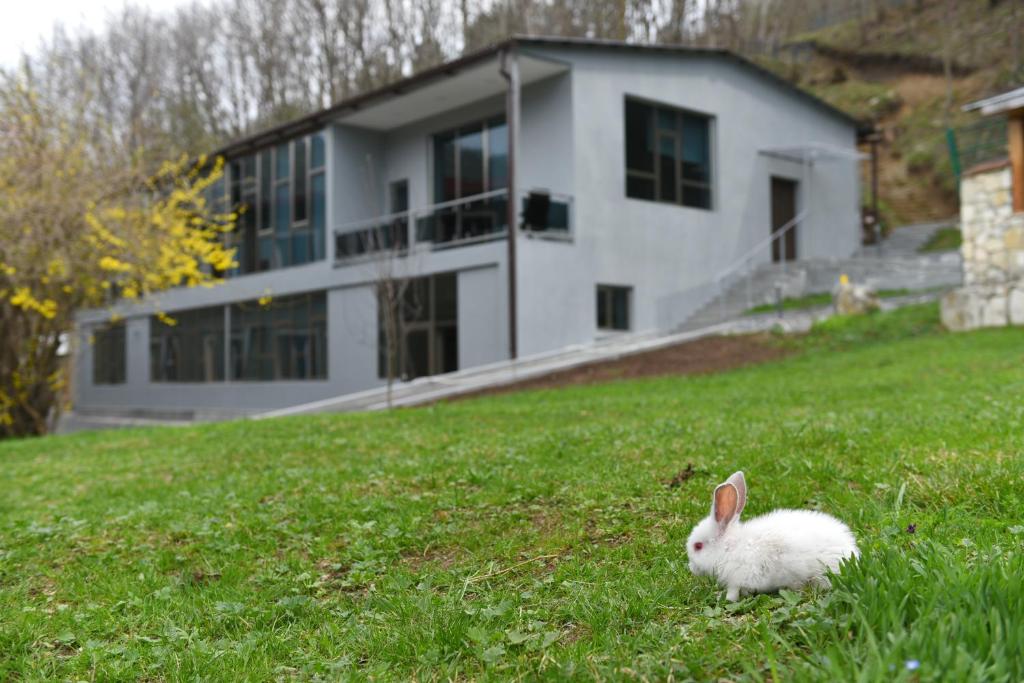 Pastatas, kuriame yra šis poilsio kompleksas