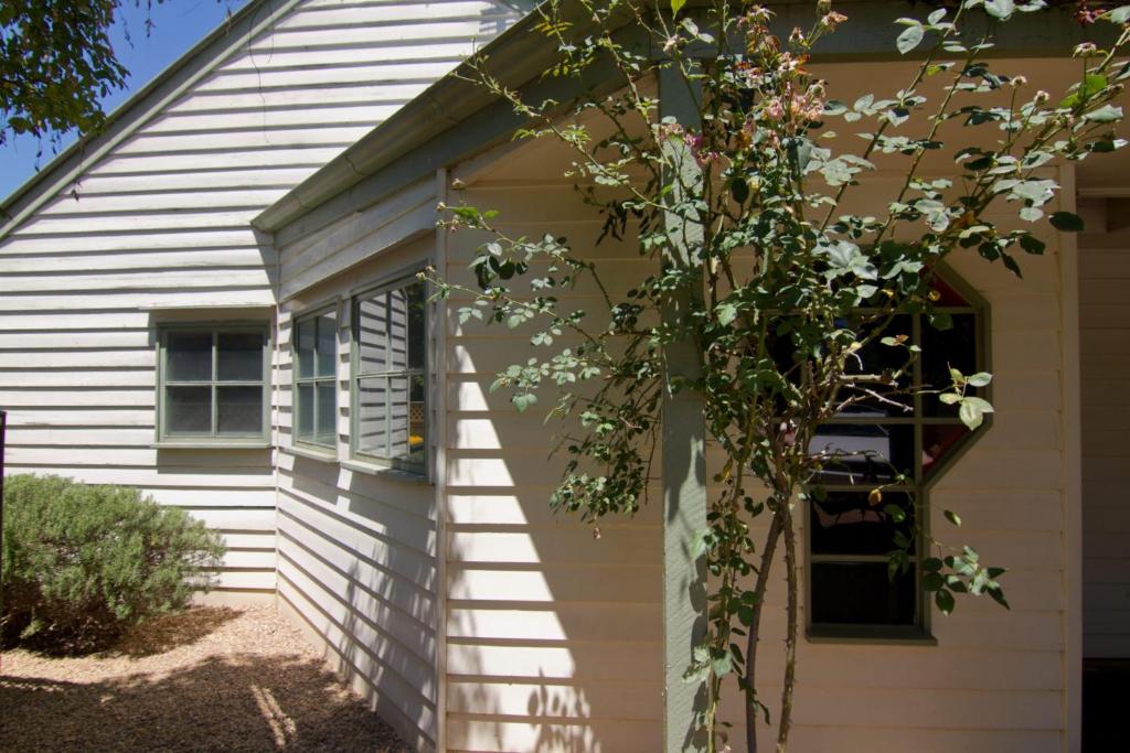 a white house with a tree in front of it at Atticus Cottage in Bright