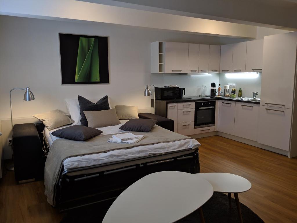 Kuchnia lub aneks kuchenny w obiekcie AP 1 - Apartments 4U Březinova "Overnight Simply"