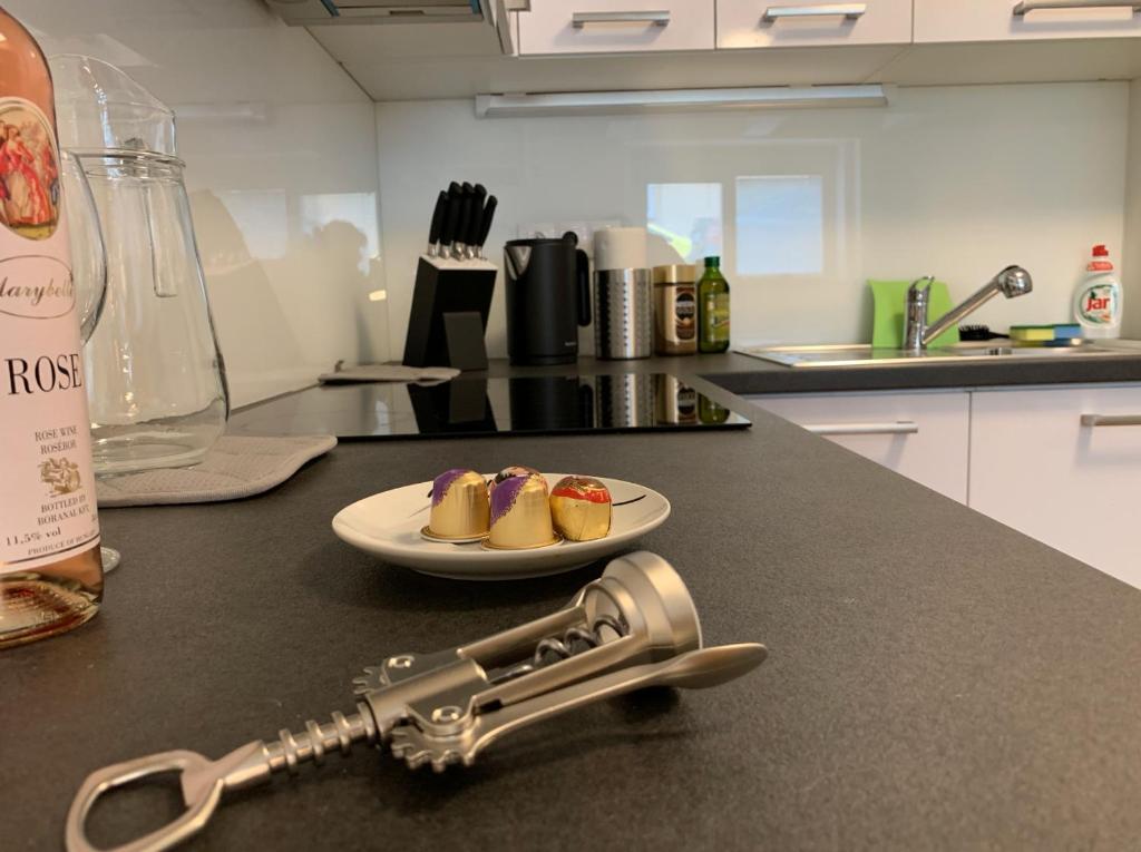 Kuchnia lub aneks kuchenny w obiekcie AP 1 - Apartments 4U Březinova "Overnight Simply"