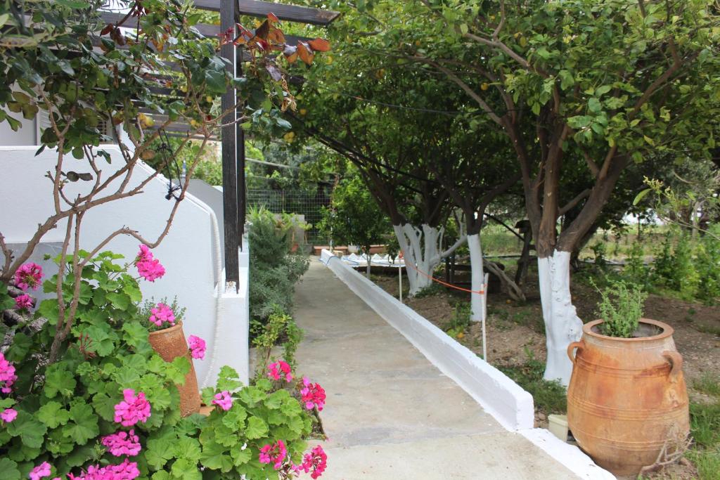 a garden with pink flowers and a white fence at Aaron Apartments in Ferma