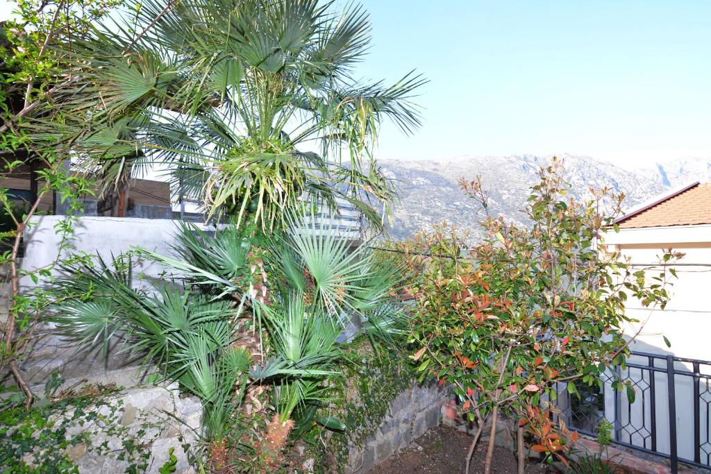 Holiday Home Cattaro - 5