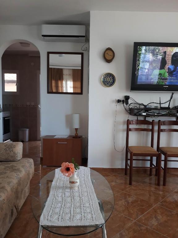 TV a/nebo společenská místnost v ubytování Apartments Jovanic with 2 bedrooms