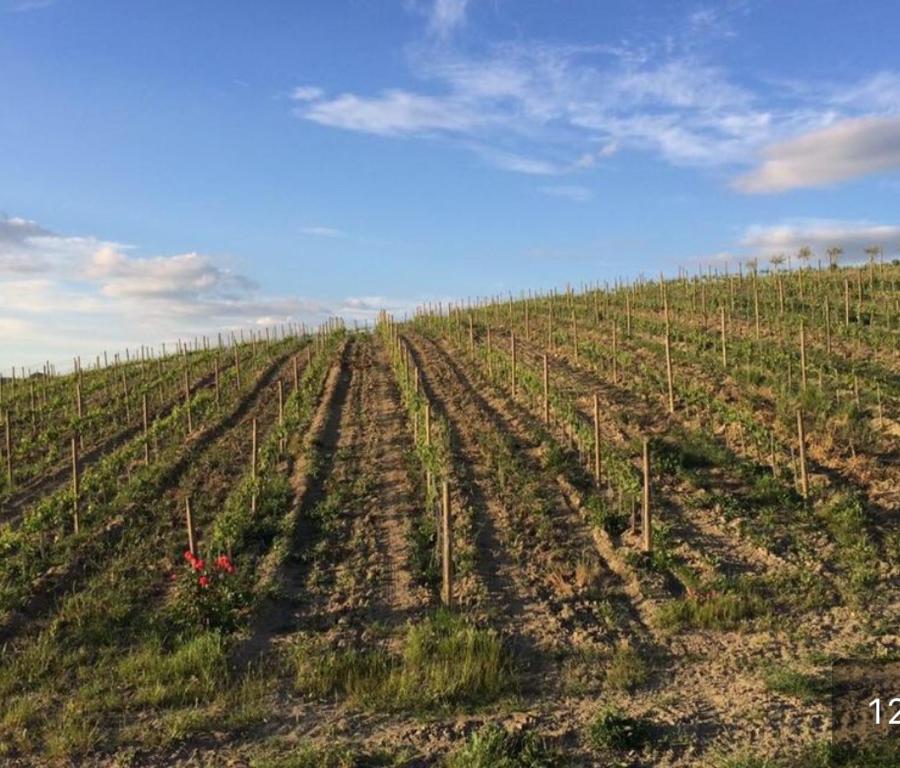 Cordella In Valdorcia Truffle and Olive Oil Resort - 12