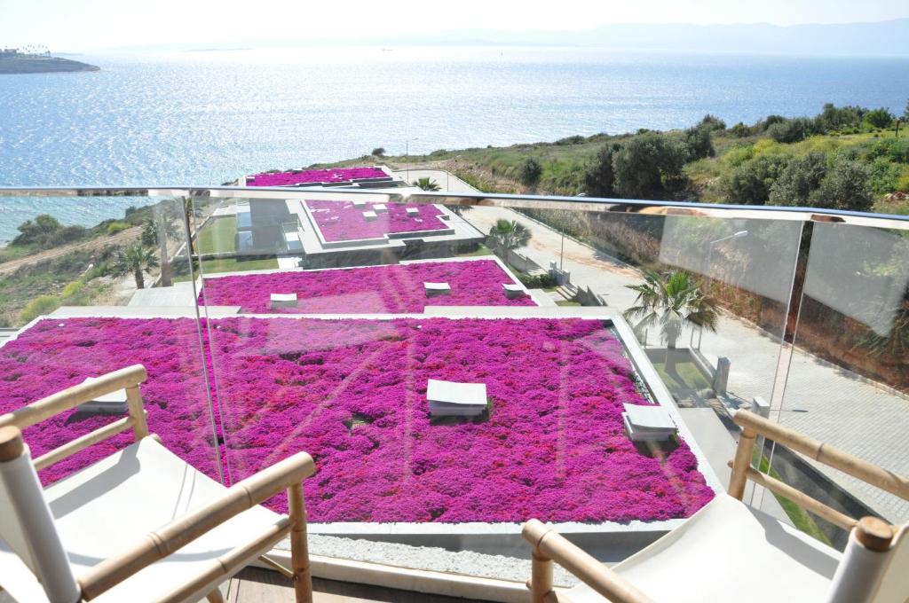 a room filled with lots of pink flowers on a balcony at Sato Design Hotel in Çeşme