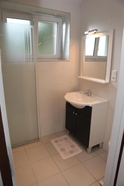 ein Bad mit einem Waschbecken und einer Dusche in der Unterkunft Gîte altzia bas in Saint-Michel