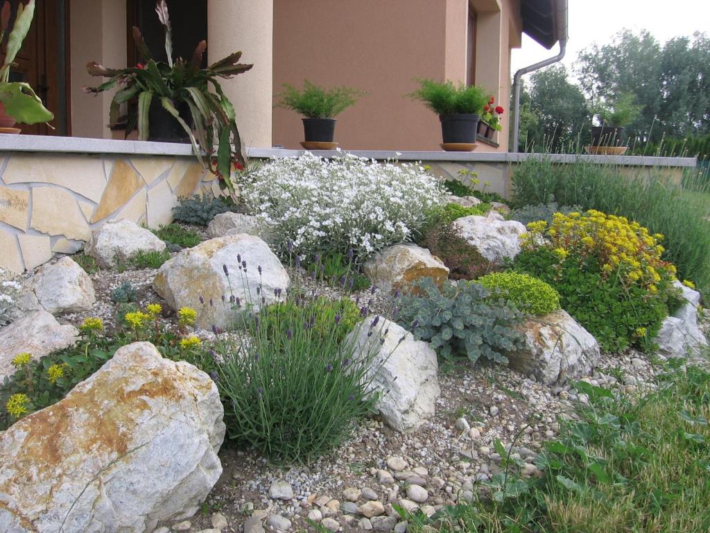 A garden outside Bodzavirág Apartman