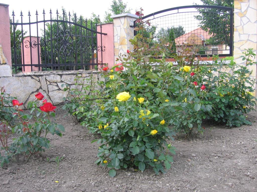 A garden outside Bodzavirág Apartman