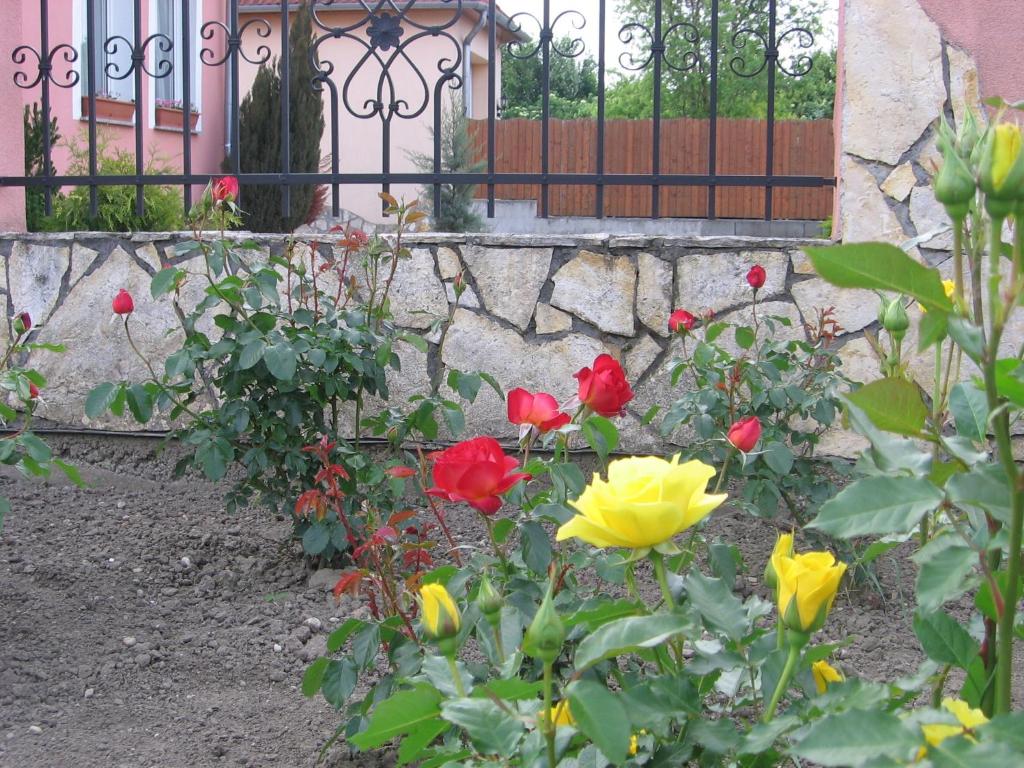 A garden outside Bodzavirág Apartman