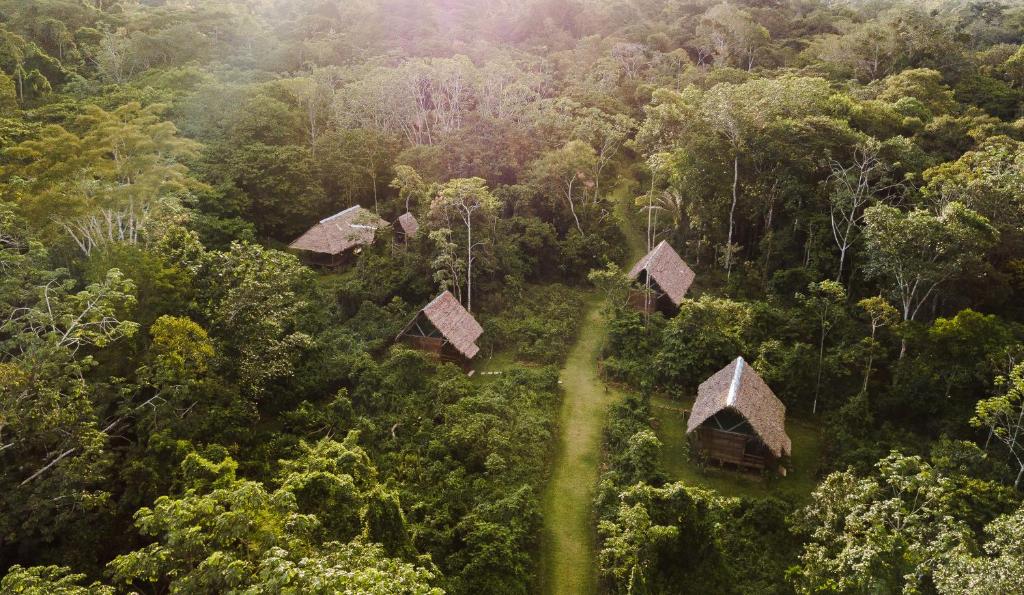z góry widok na las z drzewami i chatami w obiekcie Amak Iquitos Ecolodge - All Inclusive w mieście Santa Clara