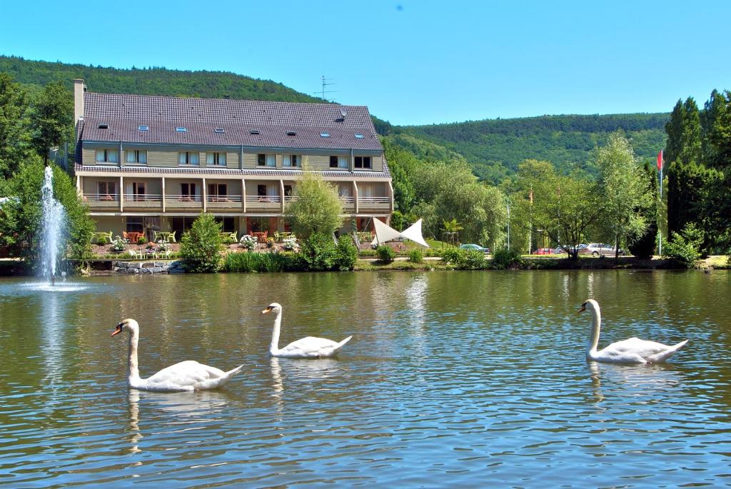 Tres cisnes nadando en un lago frente a un edificio en Hotel Du Lac en Guebwiller