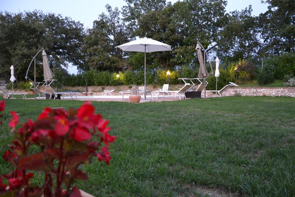 A garden outside Casa di Romano