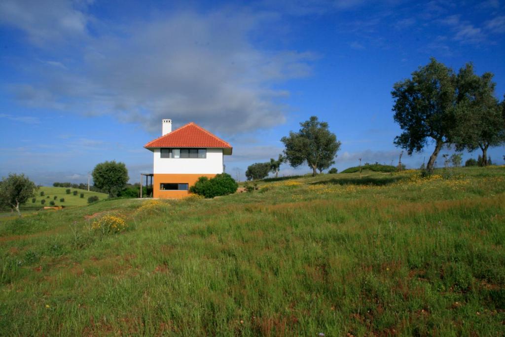 ein Haus auf einem Grashügel in der Unterkunft o vale da mudança in Monte da Pedra Alva