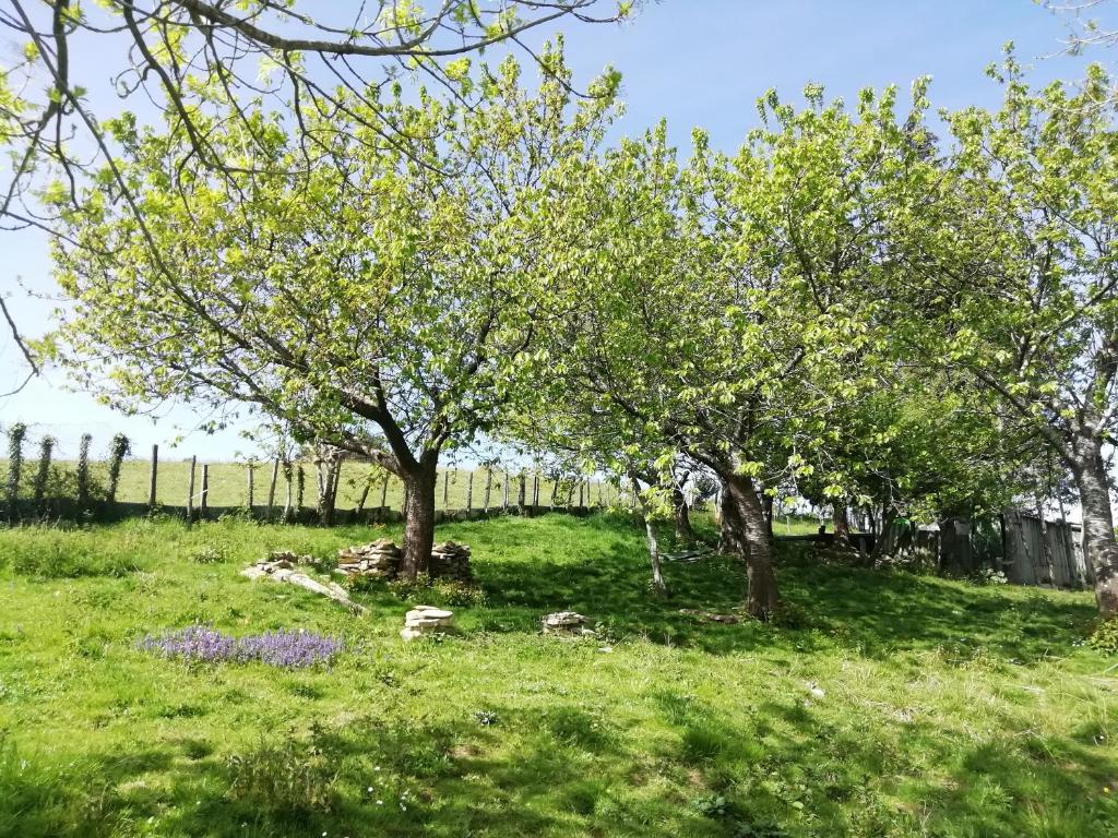 Zahrada ubytování Agroturismo Pagoederraga