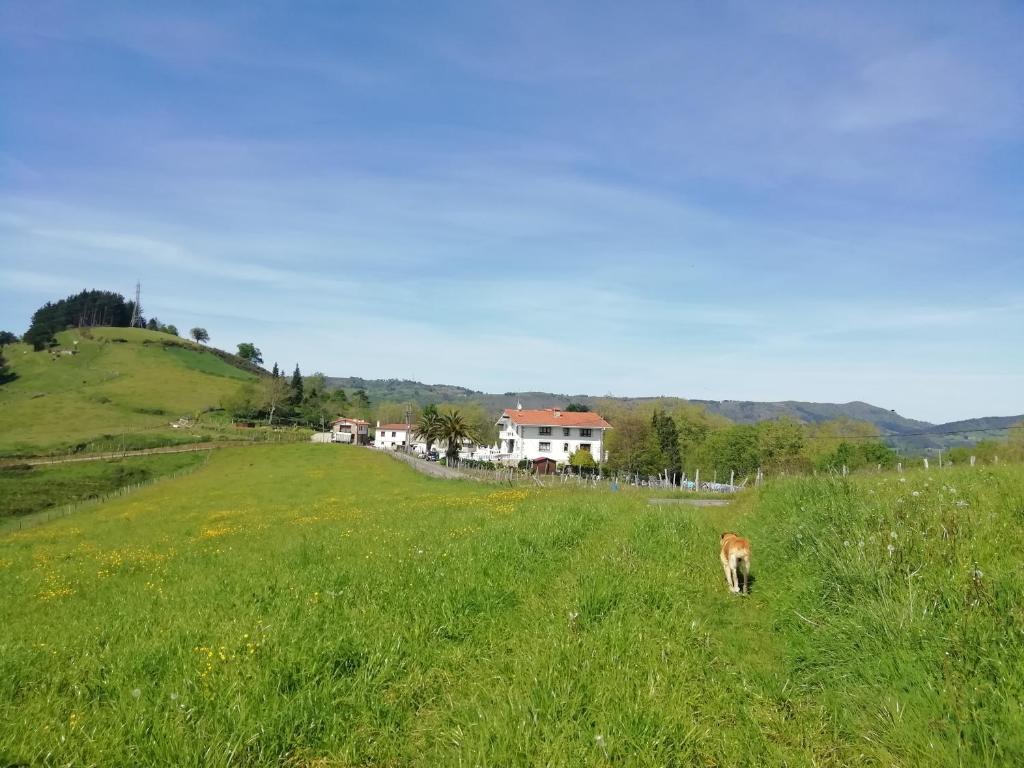 Příroda nedaleko farmy