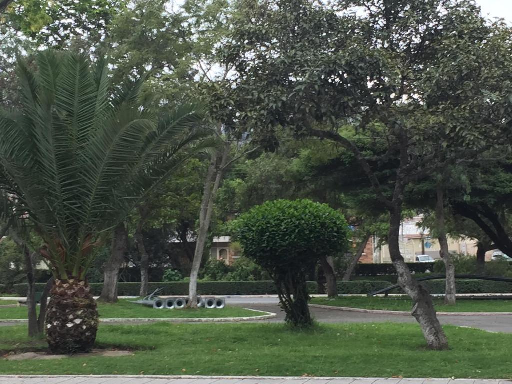 Κήπος έξω από το Apartamento Rinconcito de Luz