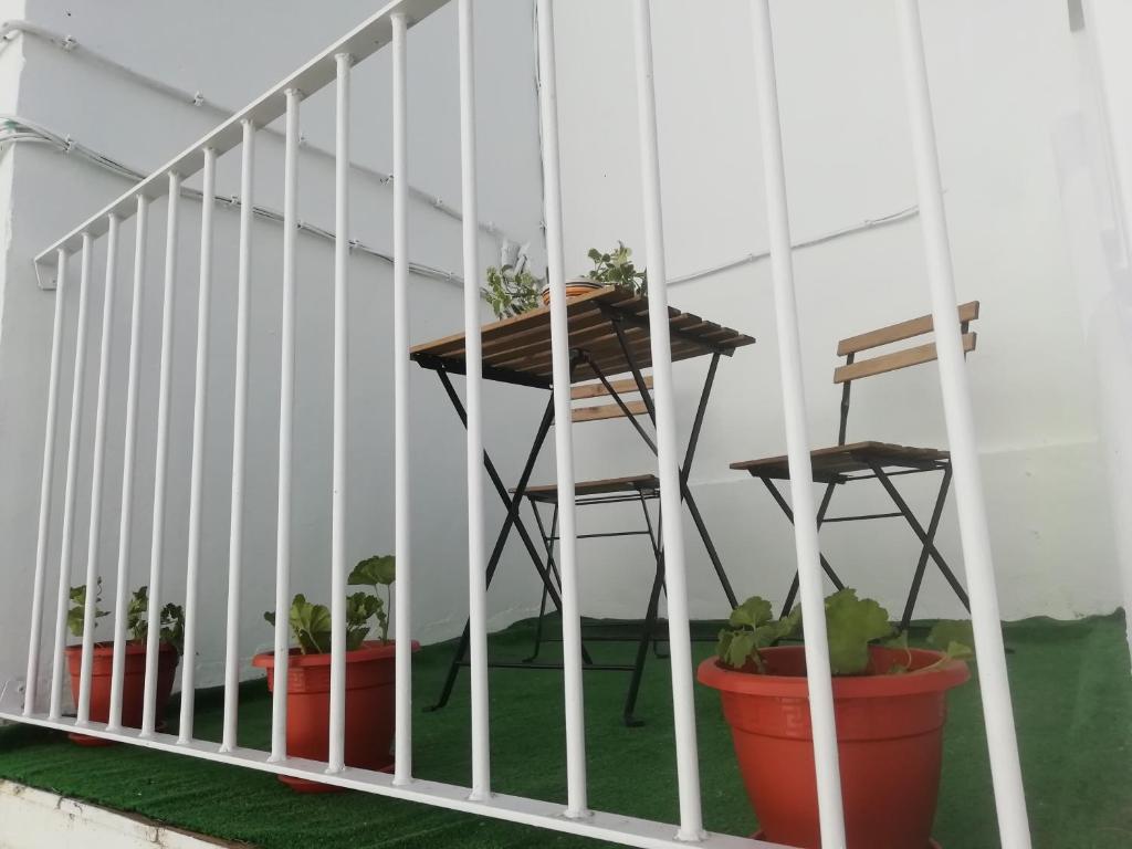 Fotografia z galérie ubytovania Casa Patio Paraíso v destinácii Vejer de la Frontera