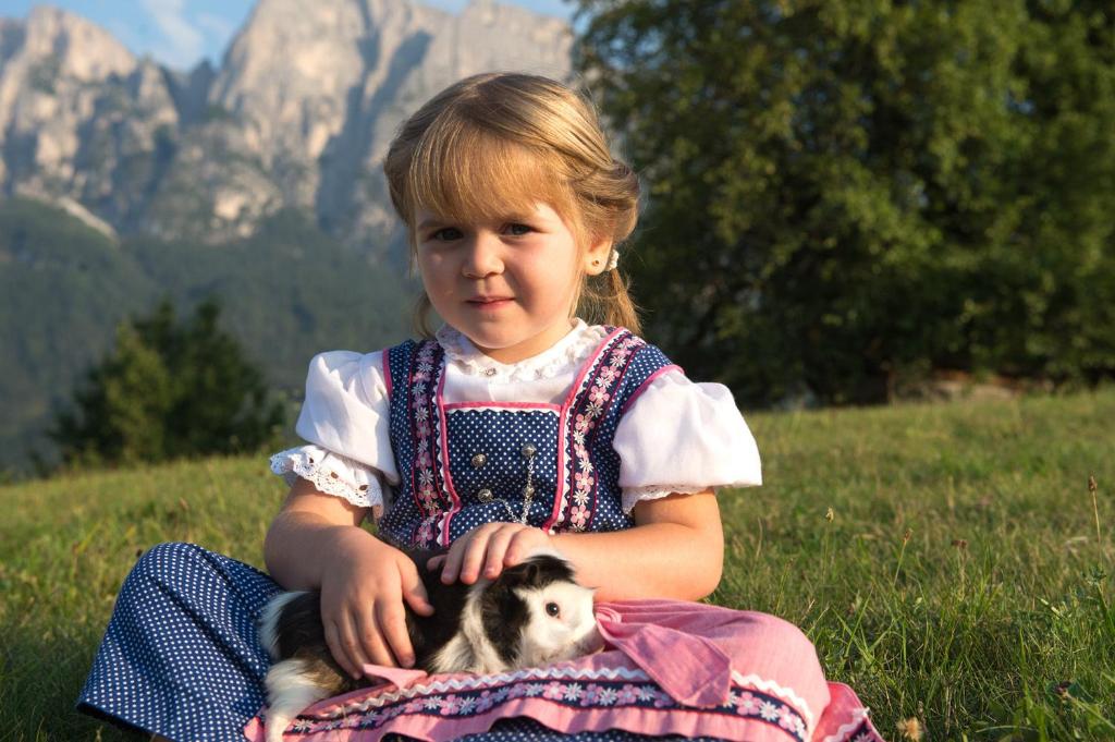 Príroda v okolí farmy