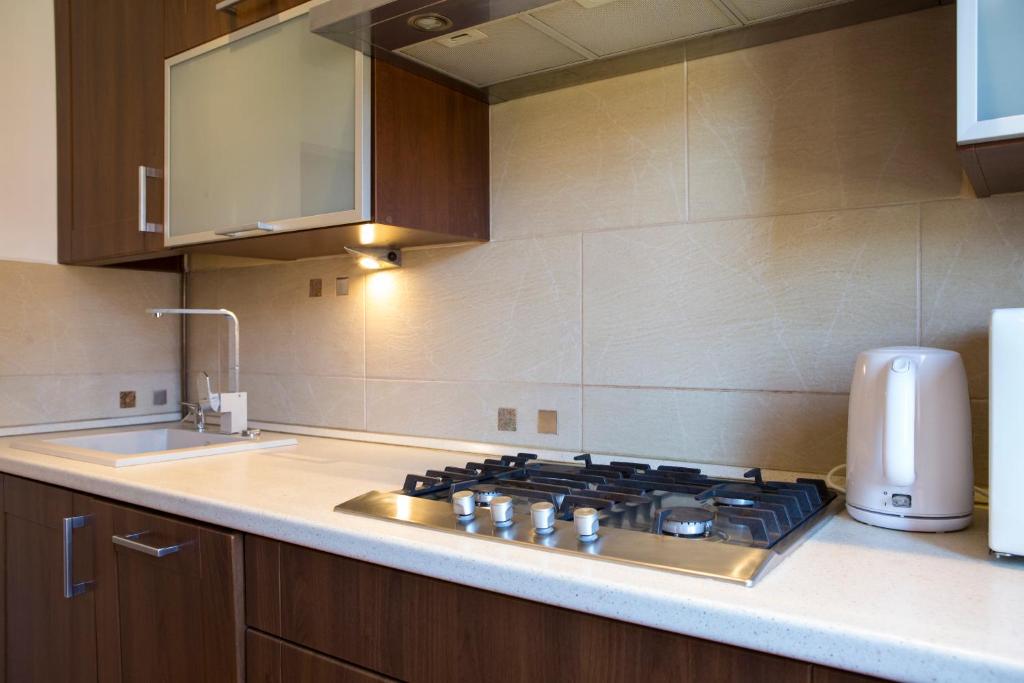 Kuchyňa alebo kuchynka v ubytovaní May Land Apartment