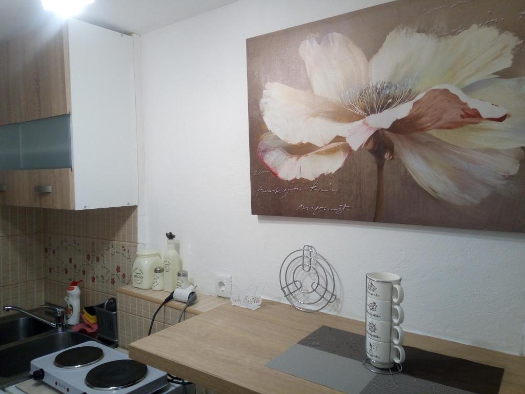 a kitchen with a picture of a flower on the wall at Vicky Apartments in Kotor
