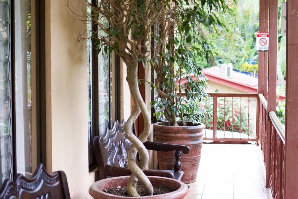 Diuwak - Junior Suite