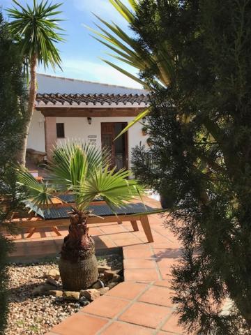 Zahrada ubytování B&B Cortijo Loma León