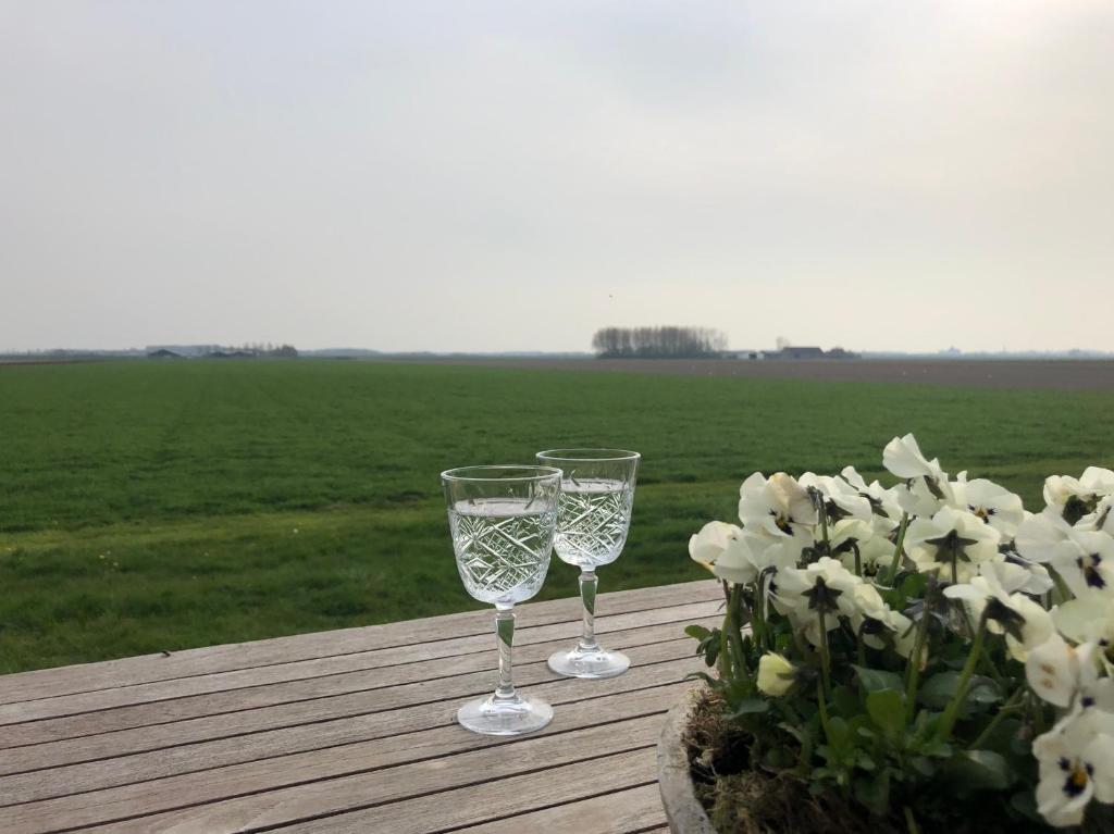 two wine glasses sitting on a wooden table with flowers at Fila Stroo in Kamperland