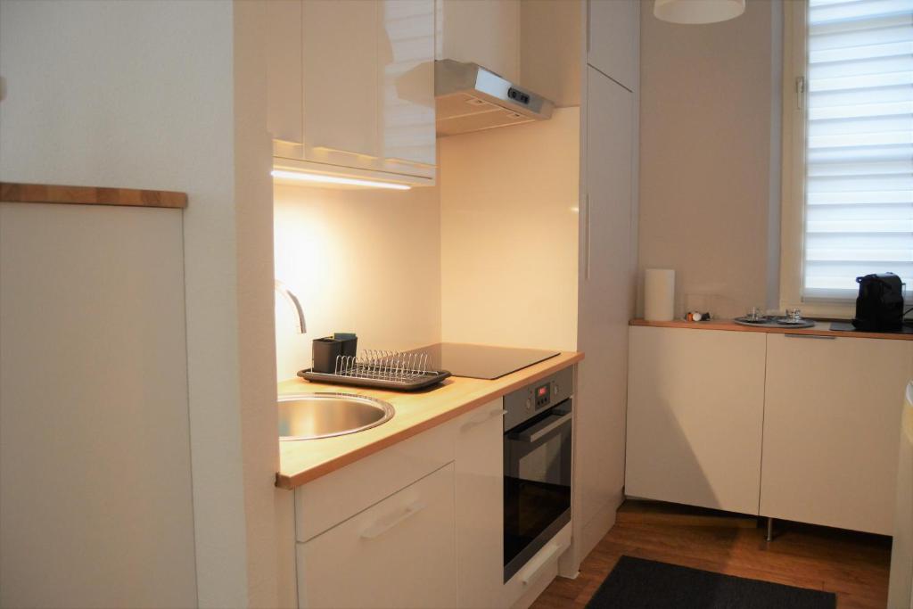 LE VOLTAIRE COLMAR CENTRE - 6