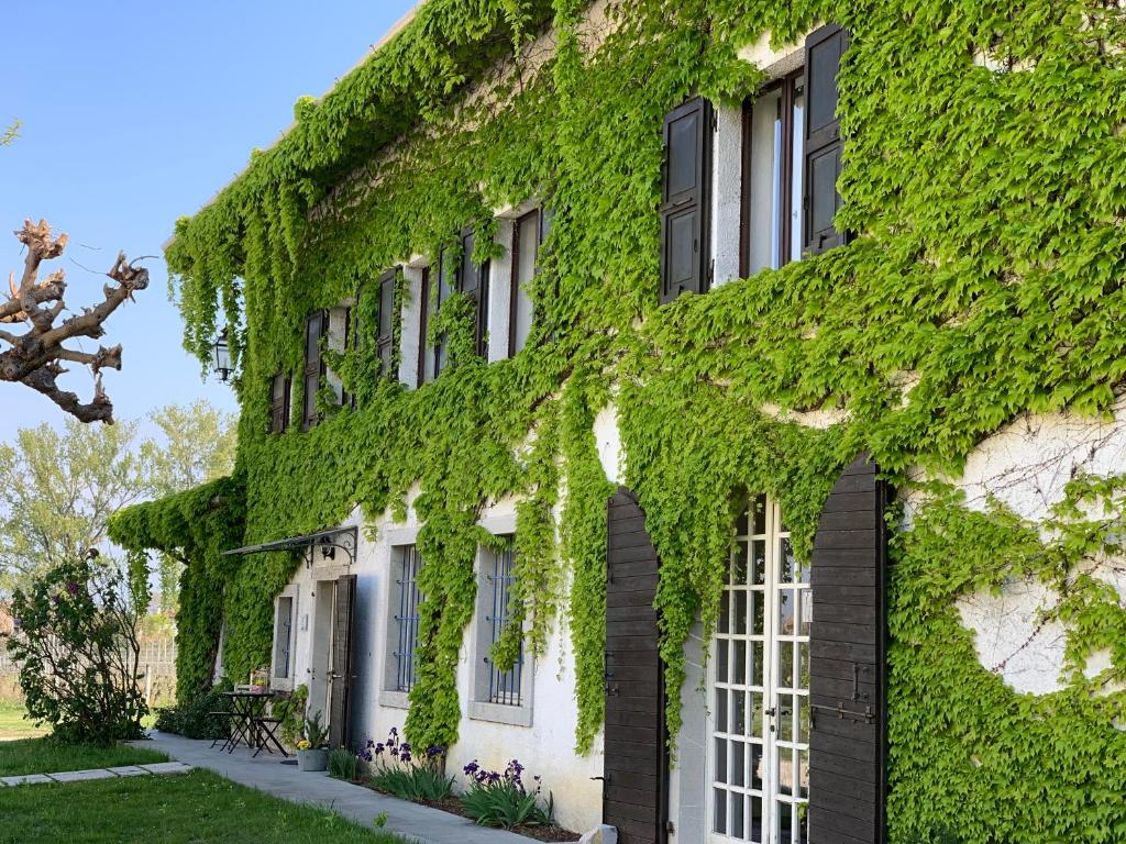 un edificio cubierto de hiedra verde con una acera en Agriturismo Tra Le Vigne, en Buttrio