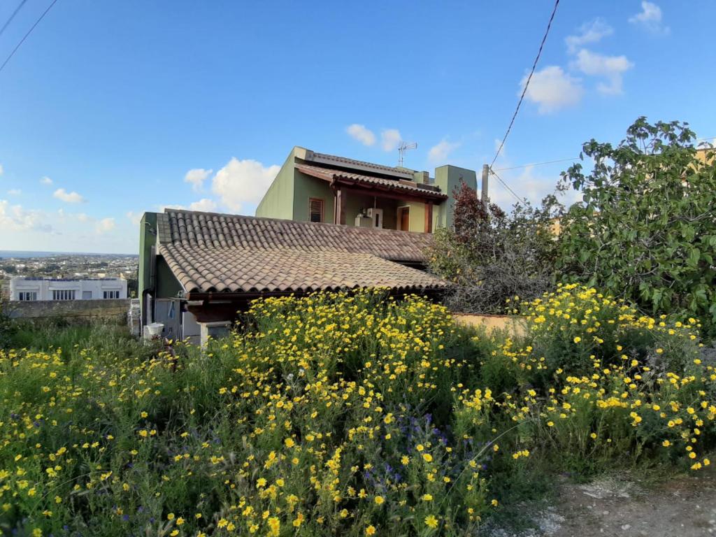 a house in the middle of a field of yellow flowers at Villa Anna in Marsala