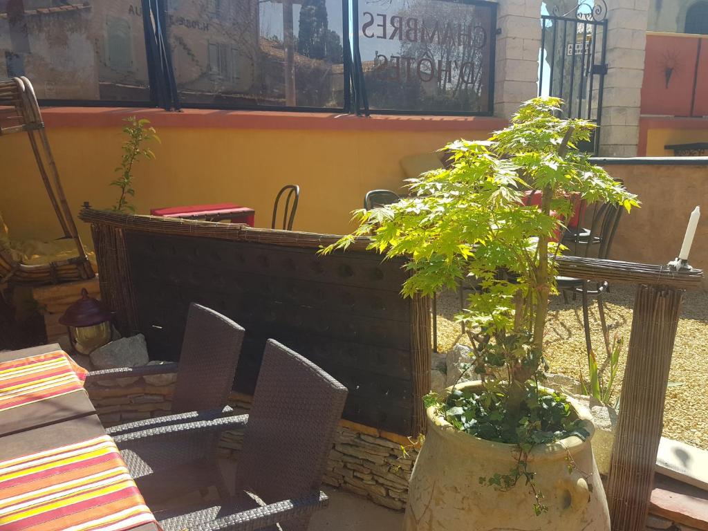 a plant in a pot next to a table and chairs at Le Relais Des Dentelles in Beaumes-de-Venise