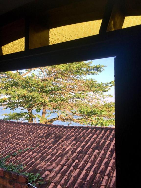  Massaguaçu pé na areia