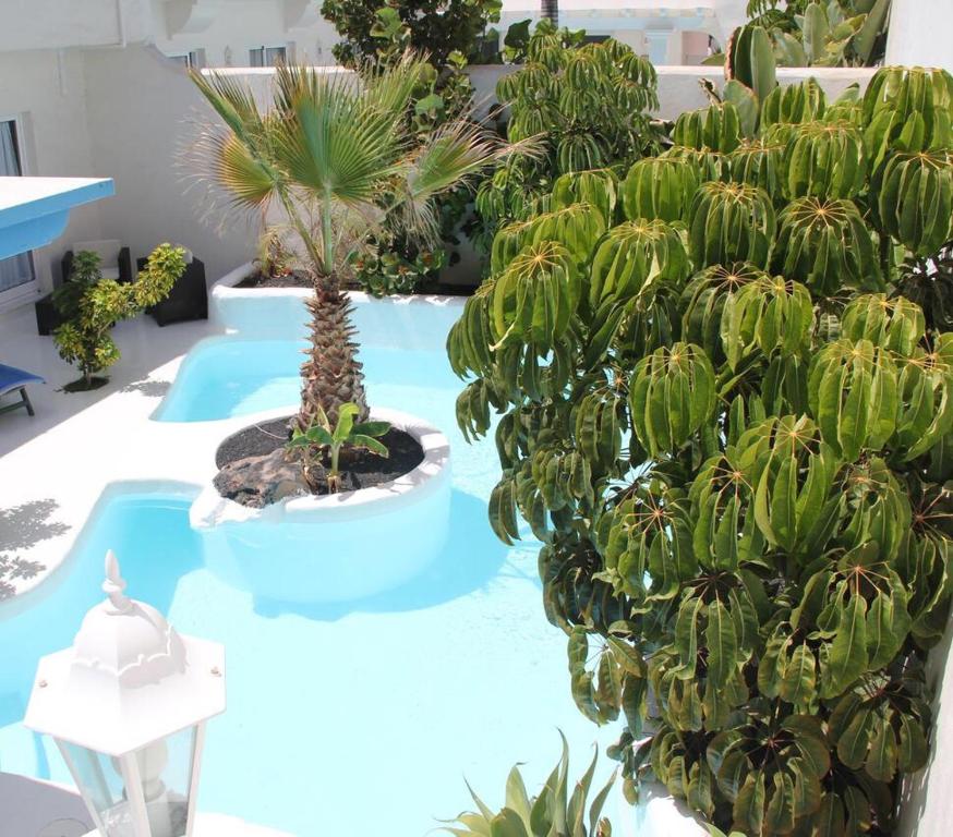Zahrada ubytování Villa lujo tranquila con piscina a 5 min playa