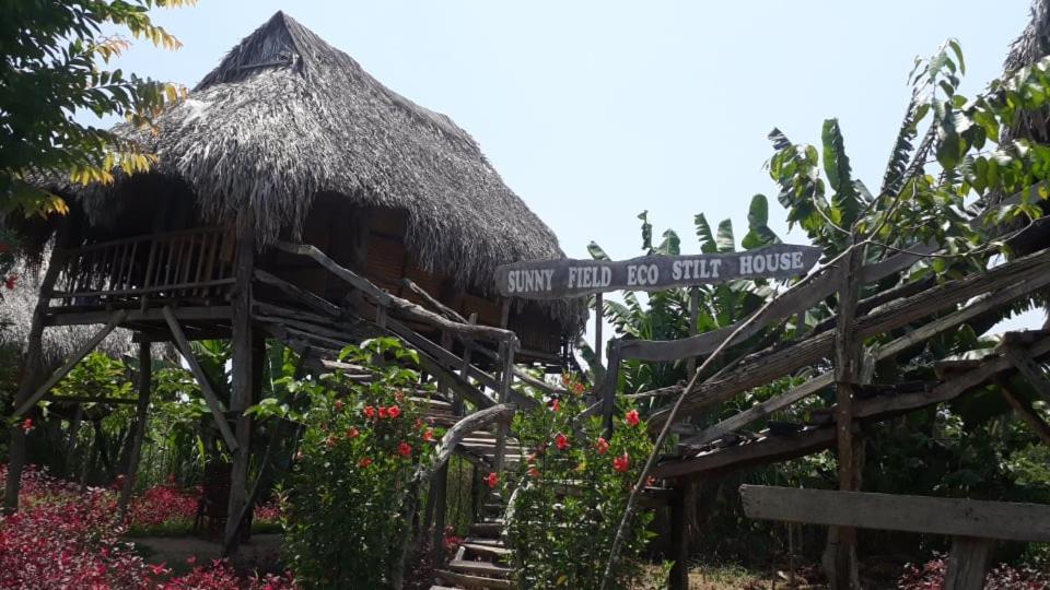 吉仙的住宿－陽光田野生態高蹺度假屋，茅草屋顶的小小屋和标志