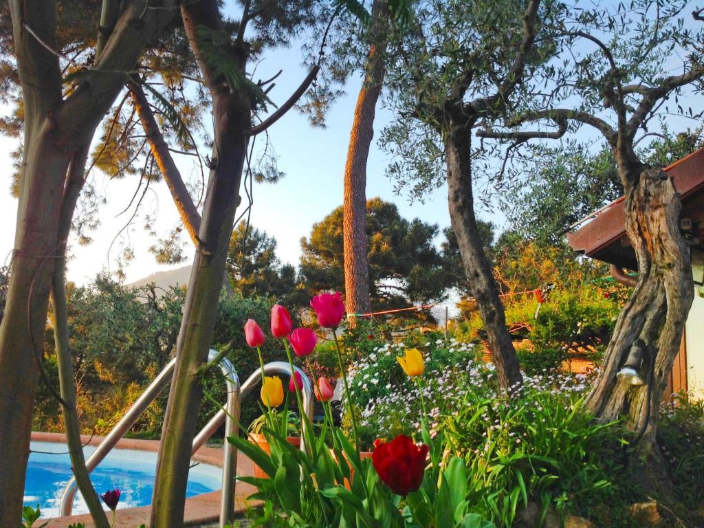A garden outside Holiday Home Villa Poggiobello by Interhome