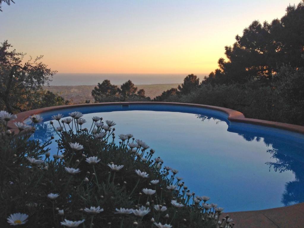Táj Show holiday homes közelében