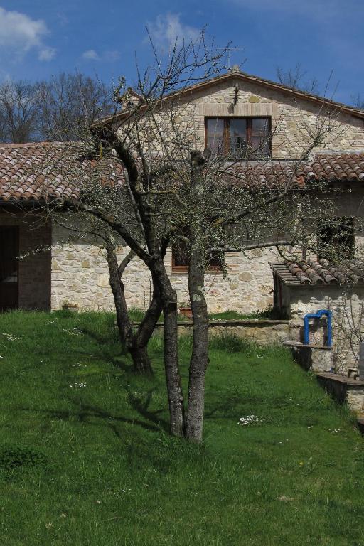 Budova, kde se the country house nachází