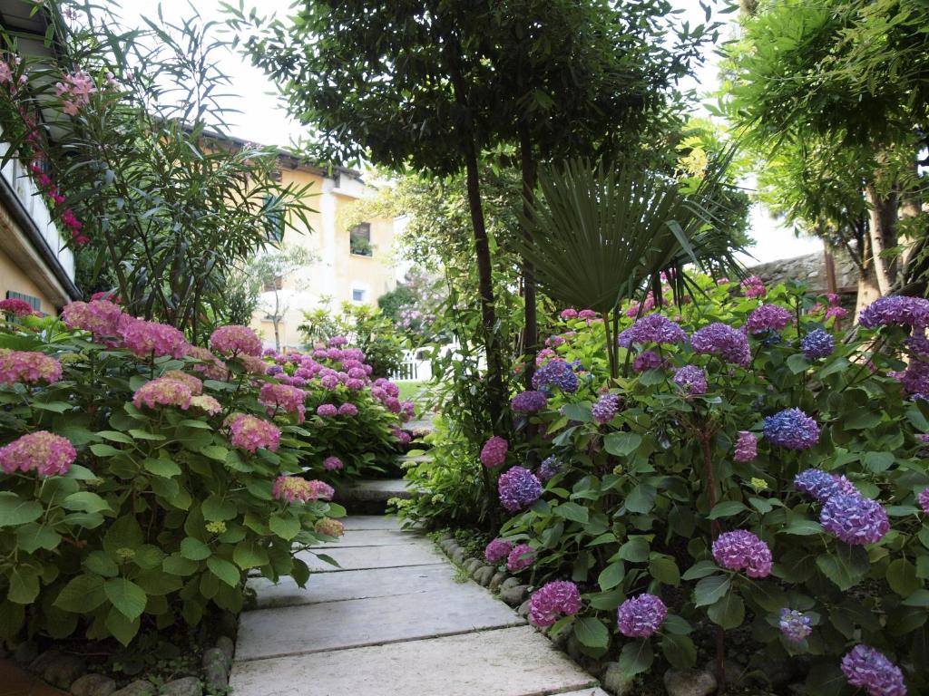 Giardino di Hotel San Filis