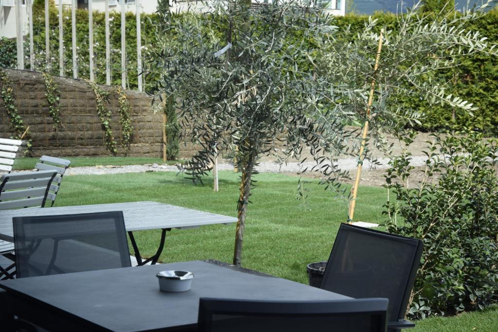 Zahrada ubytování Premium Apartments Faselehof