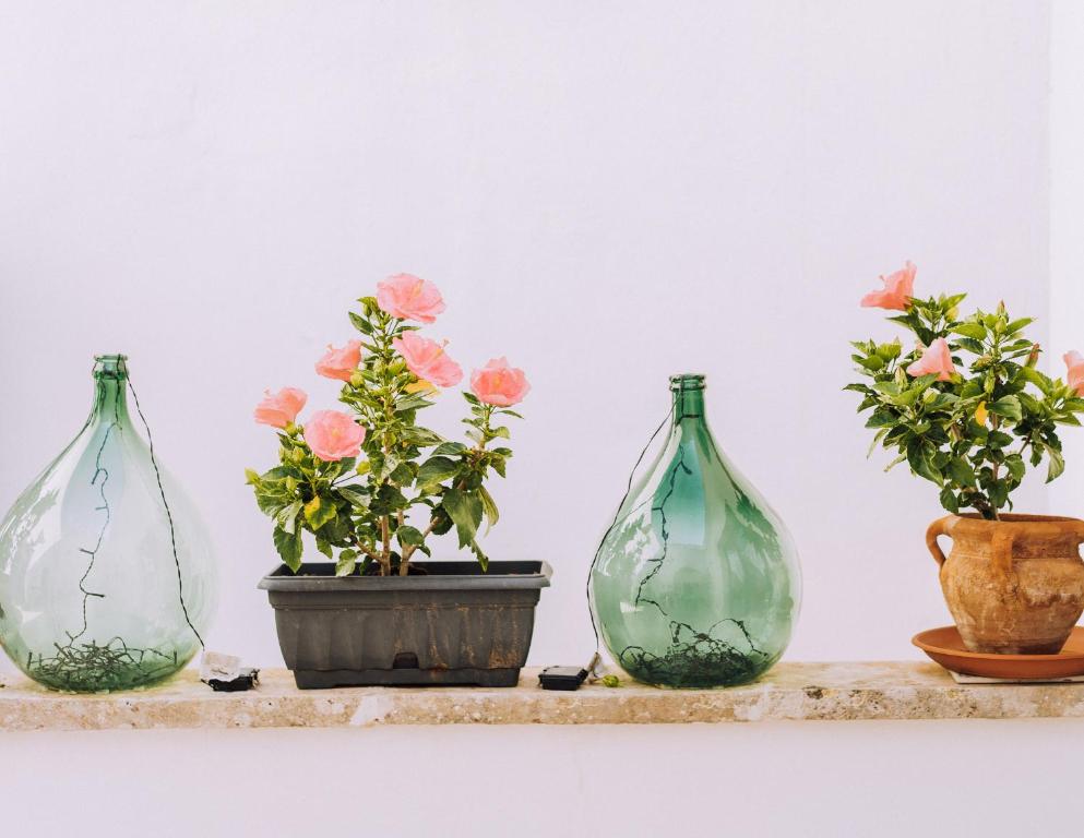 Fotografie z fotogalerie ubytování Masseria Palane v destinaci Patù